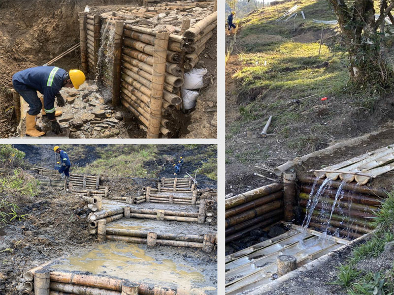 Obras Biomecánicas
