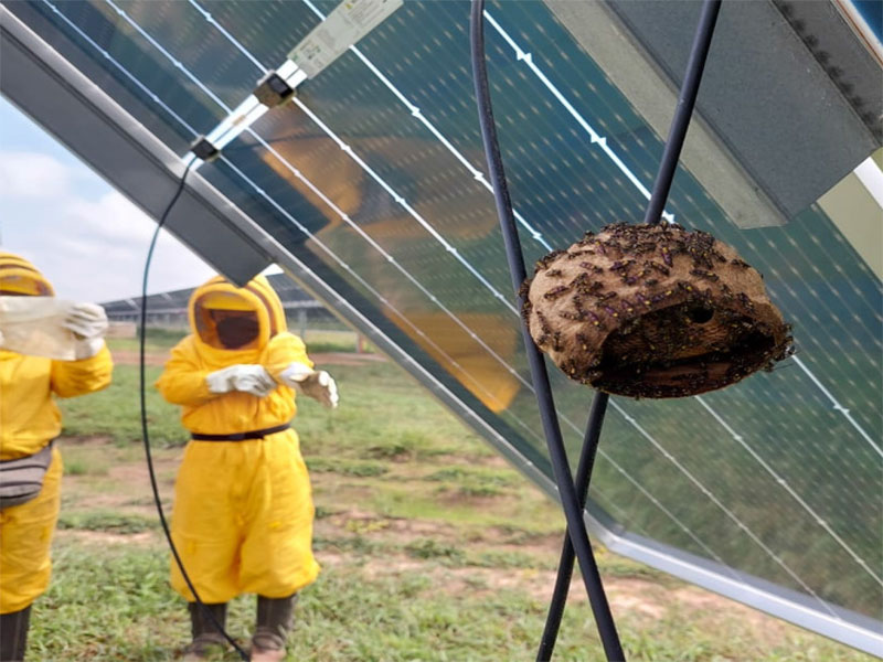 Parques Solares