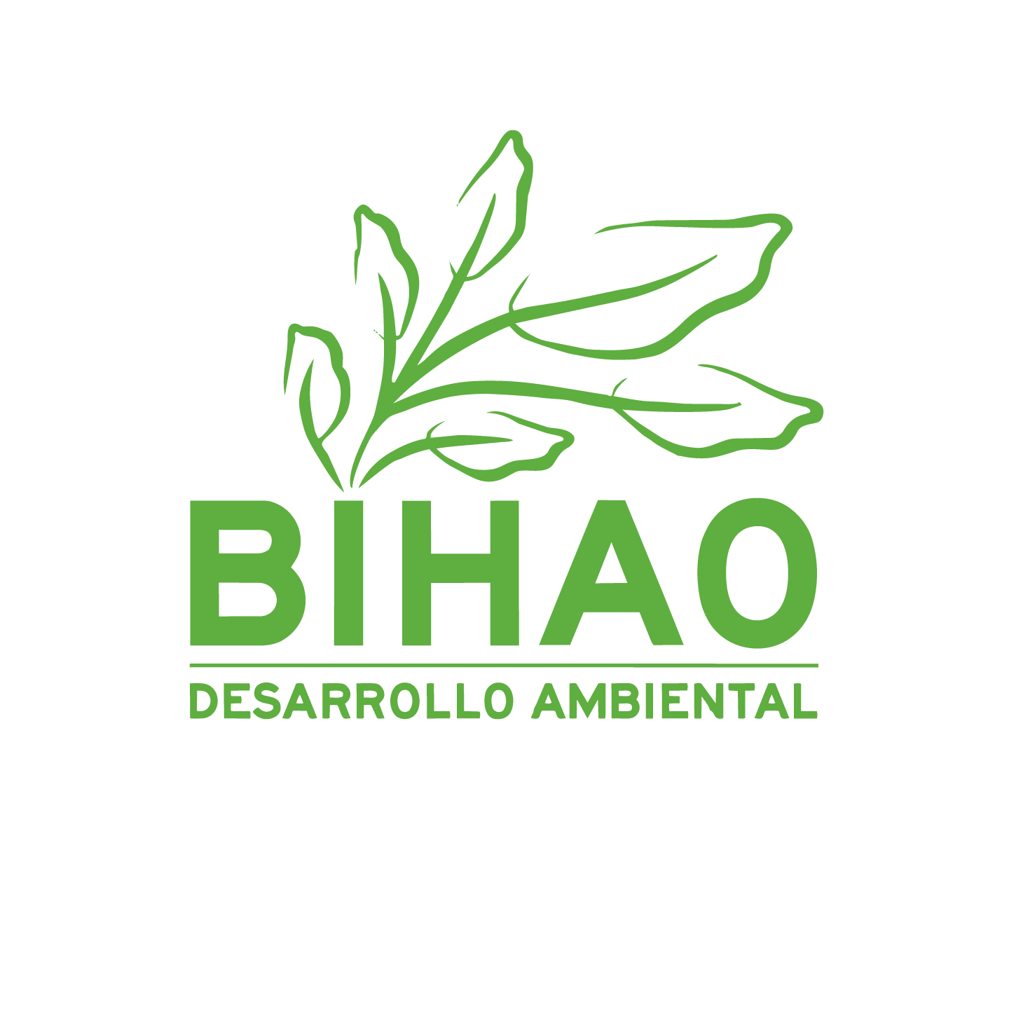 BIHAO Logo